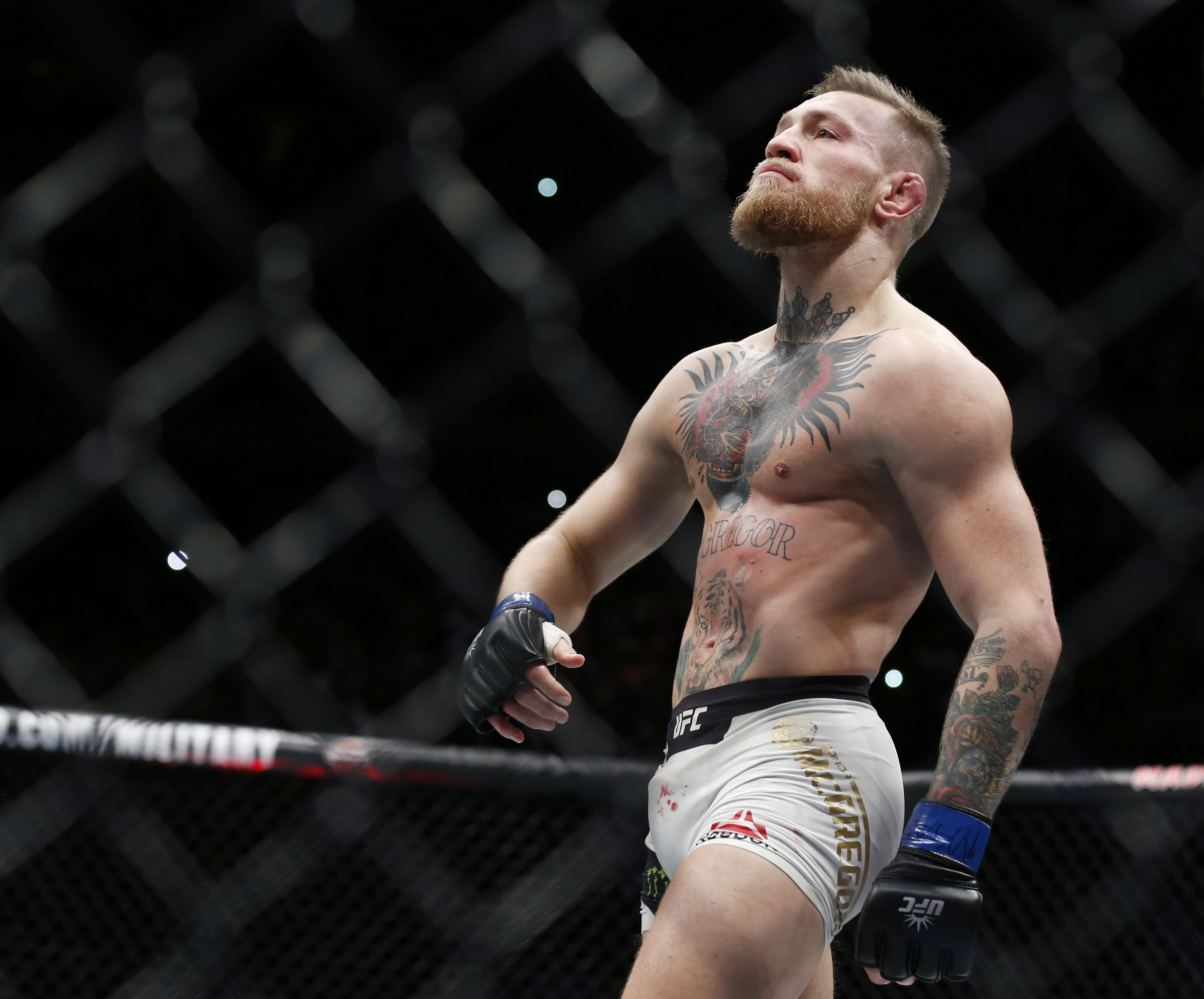 Nov 12, 2016; New York, NY, USA;  Conor McGregor (blue gloves) celebrates after defeating Eddie Alvarez (red gloves) in their lightweight title bout during UFC 205 at Madison Square Garden. Mandatory Credit: Adam Hunger-USA TODAY Sports